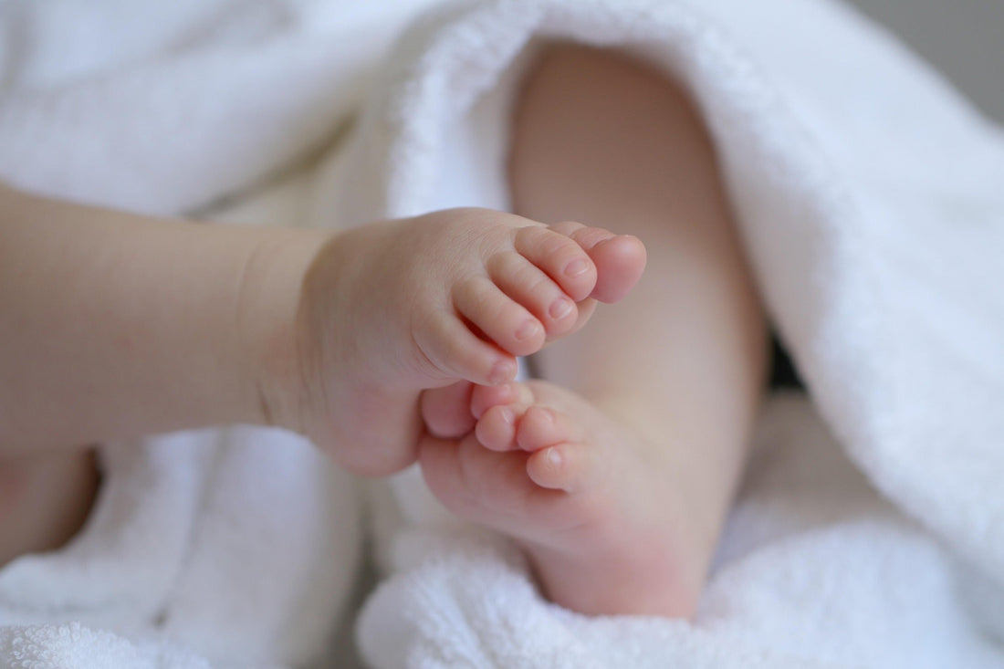 The Story Behind the Embossed Crest: From Birth Announcement to Lasting Symbol